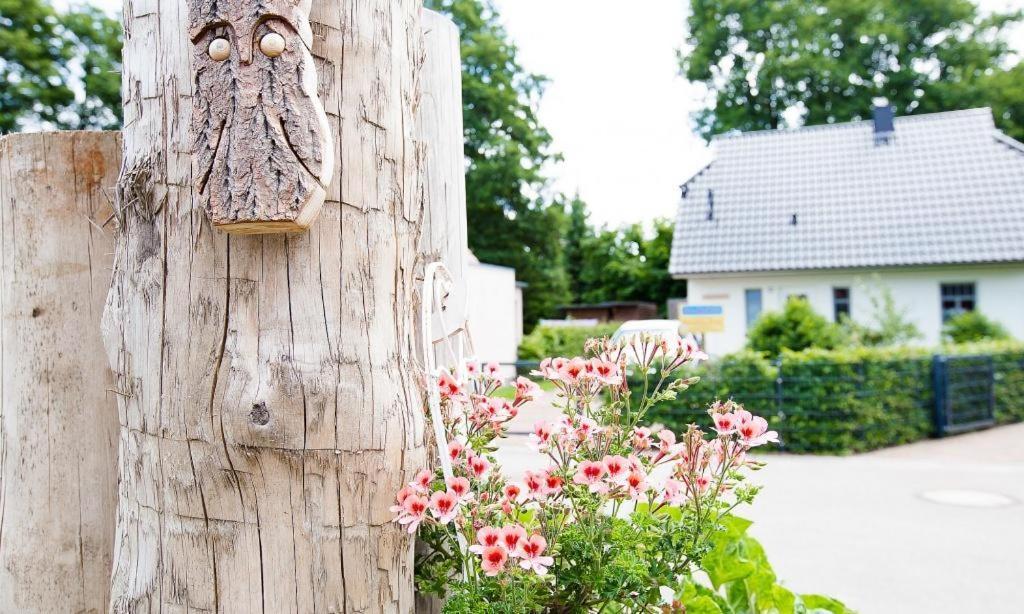 Sonnenblumenhaus 01 Lägenhet Prerow Exteriör bild